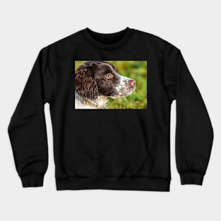 English Springer Crewneck Sweatshirt